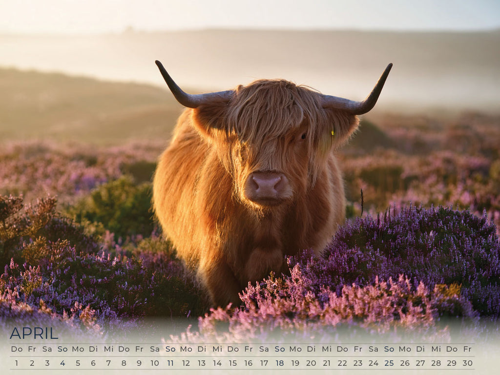 Faszination Schottland Kalender 2027