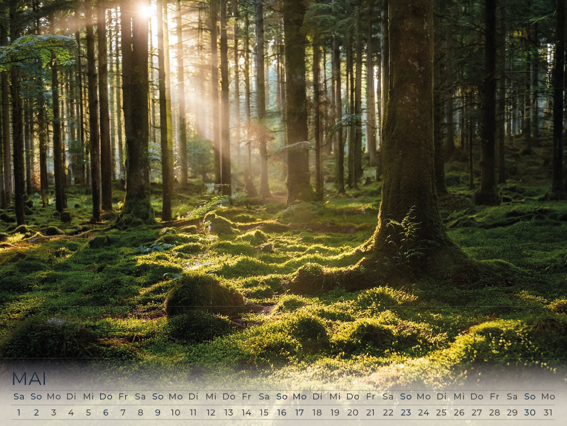 Faszination Irland Kalender 2027
