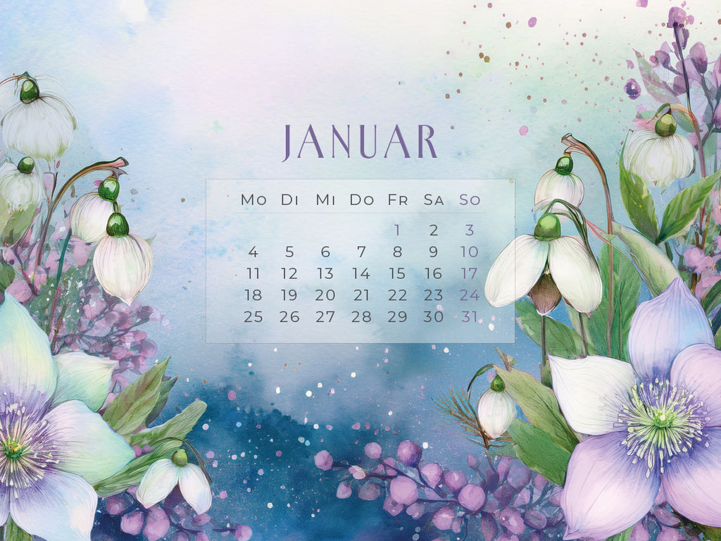 Flowers – Ein Jahr in Blüte Kalender 2027