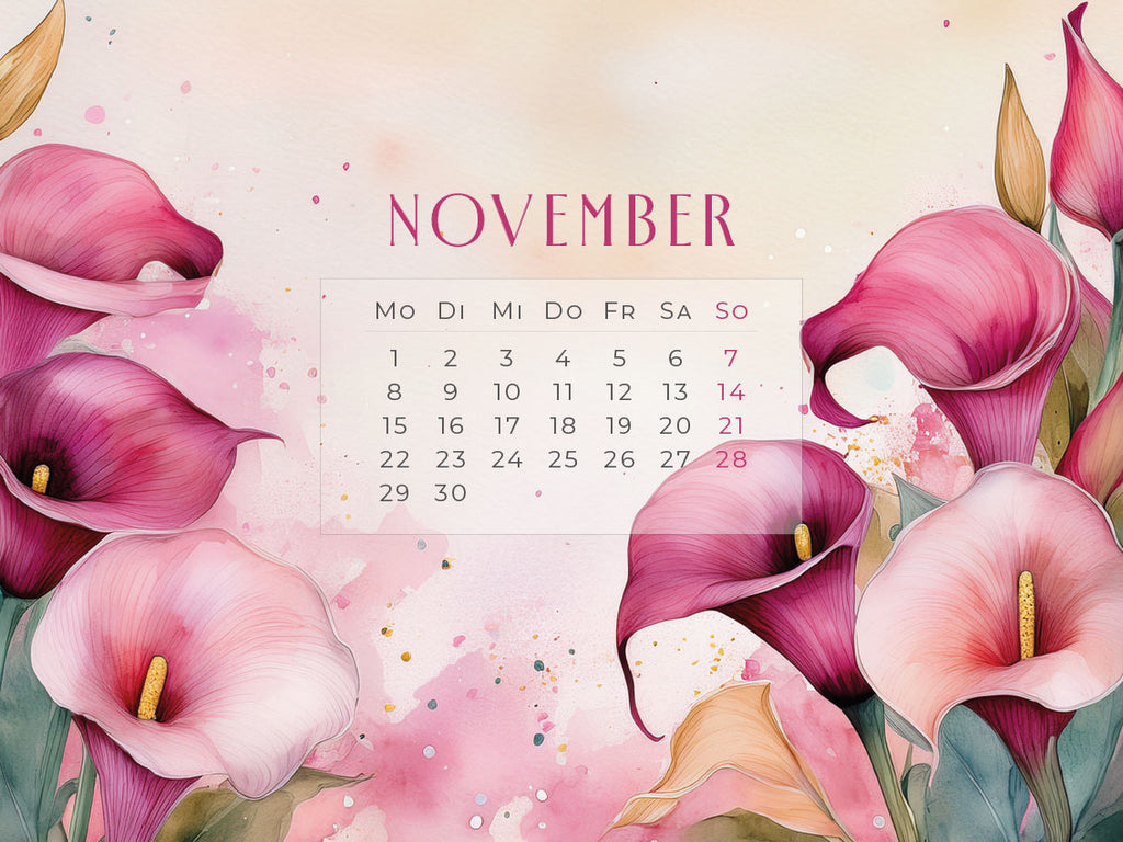 Flowers – Ein Jahr in Blüte Kalender 2027