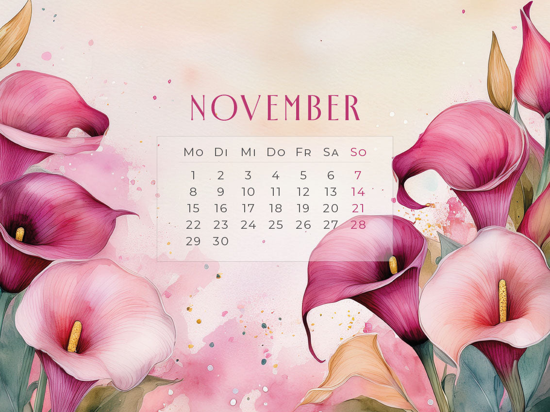 Flowers – Ein Jahr in Blüte Kalender 2027