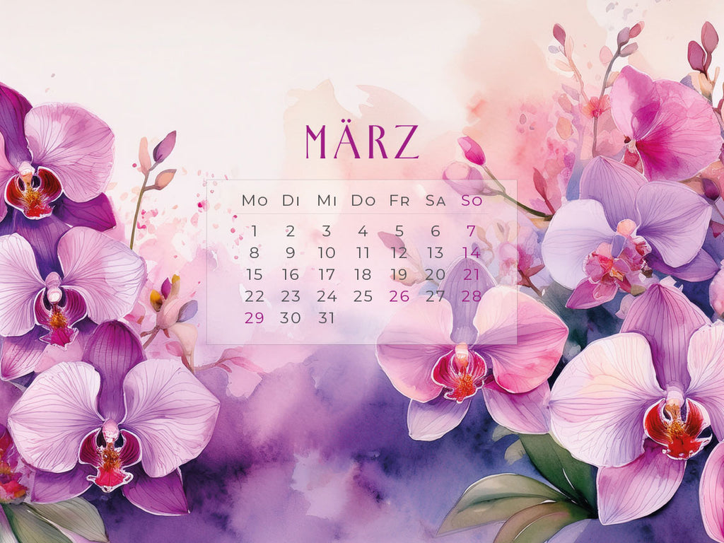Flowers – Ein Jahr in Blüte Kalender 2027
