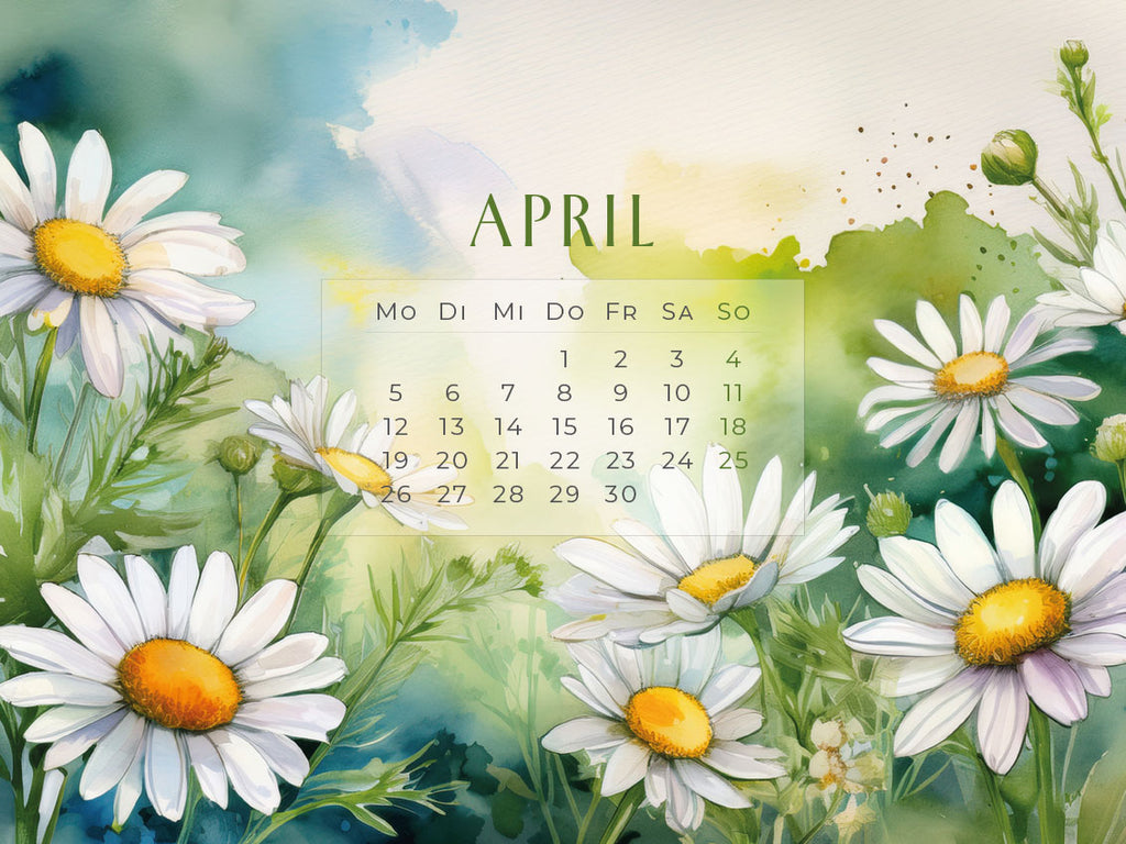 Flowers – Ein Jahr in Blüte Kalender 2027