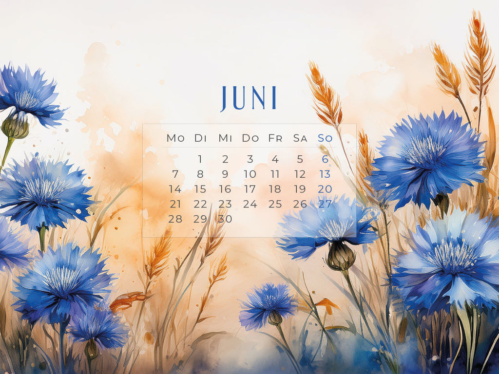 Flowers – Ein Jahr in Blüte Kalender 2027